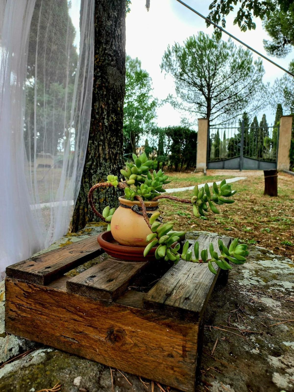 Ferienhaus Casa Shanti *